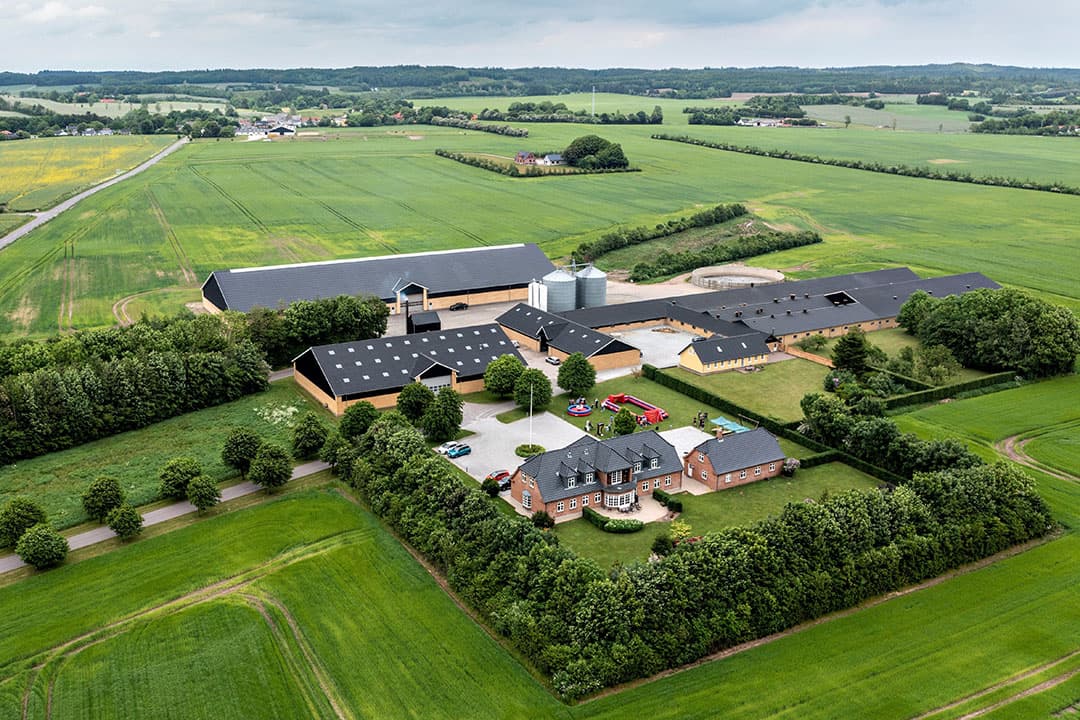 Een Deens varkensbedrijf. Dat het Horsens-virus zich razendsnel verspreidde, werd vooral duidelijk in gebieden waar meerdere varkensbedrijven vlak bij elkaar zaten. - Foto: MSD Animal Health