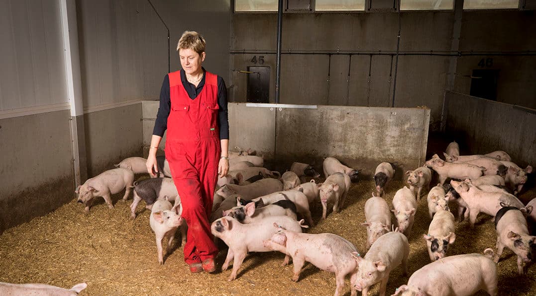 Annechien ten Have was in 2019 Agrarisch Ondernemer van het Jaar. - Foto: Koos Groenewold