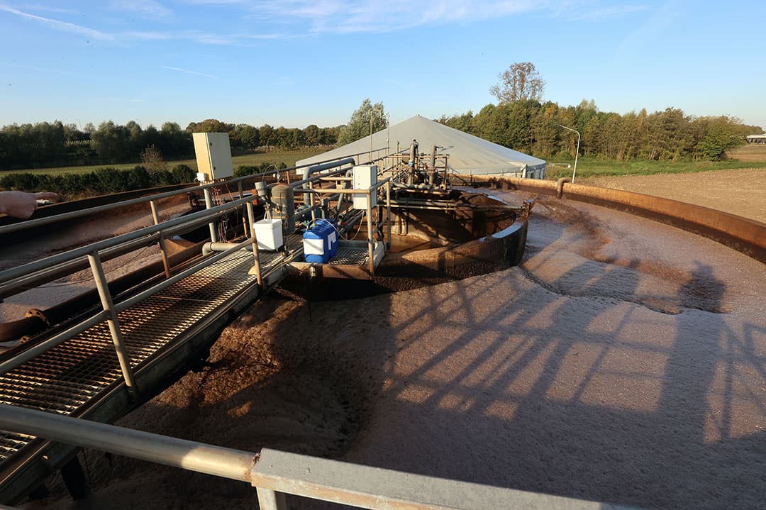 De biologische verwerking van de dunne fractie van drijfmest. - Foto: Bert Jansen