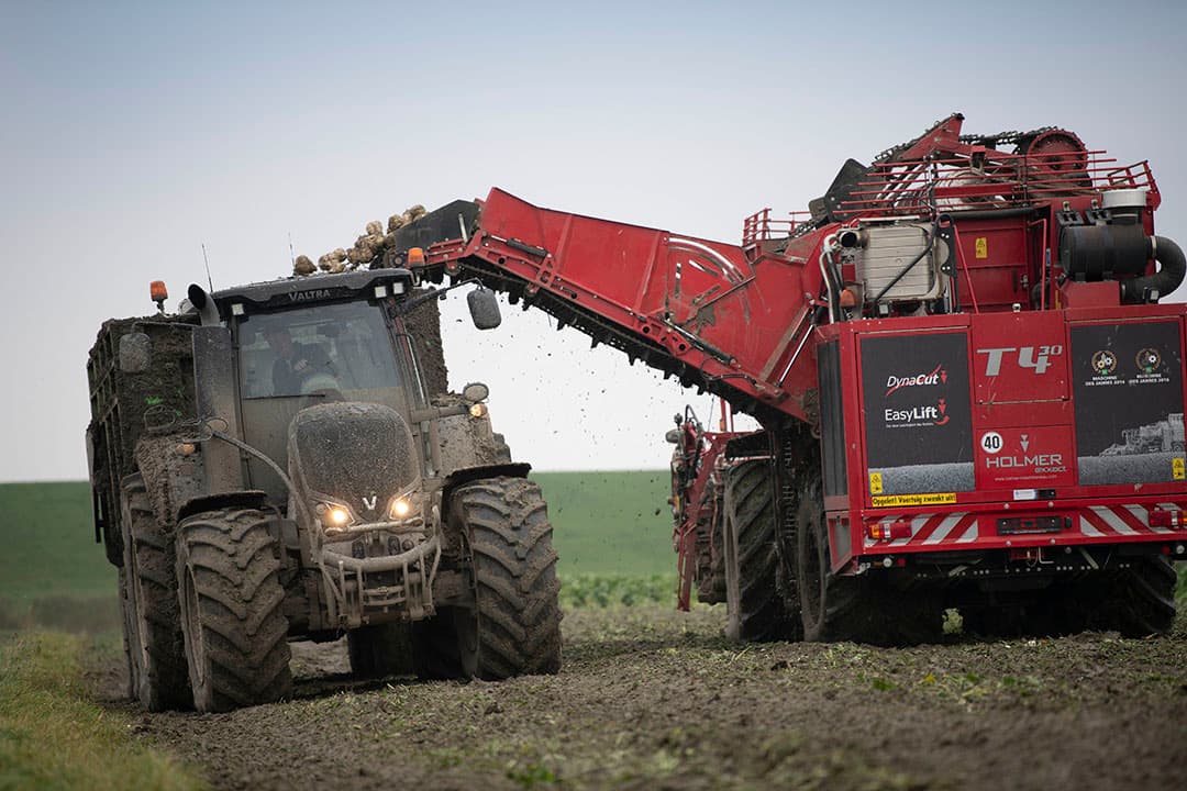 De Holmer T4-30 bietenrooier is uitgerust met opbrengstmeting. Weegrollen zitten op de elevator, direct achter de zonnewielen. - Foto's: Mark Pasveer