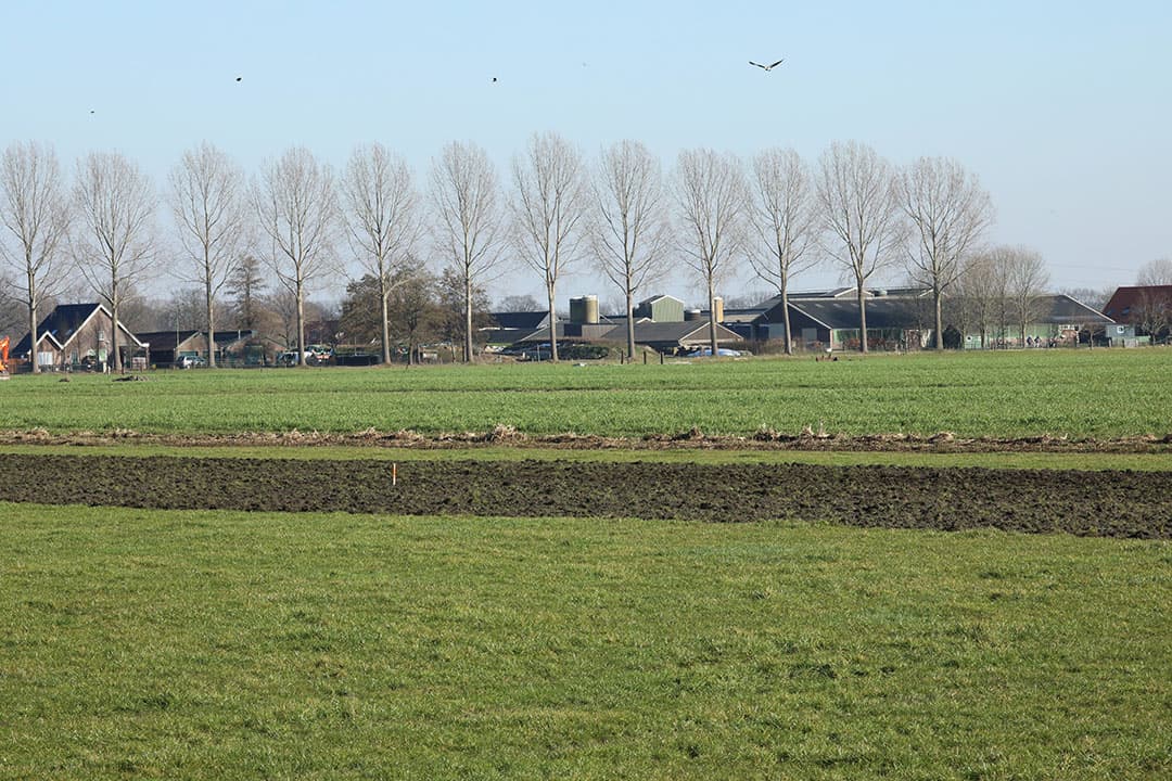 Foto: Henk Riswick