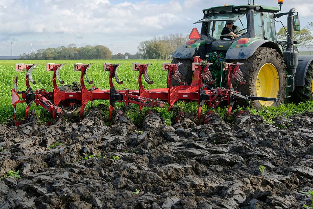 Onderploegen van groenbemester op kleigrond. De Tweede Kamer pleit voor schrappen van verplichte rotatie met rustgewassen op klei- en veengrond. - Foto: Lex Salverda