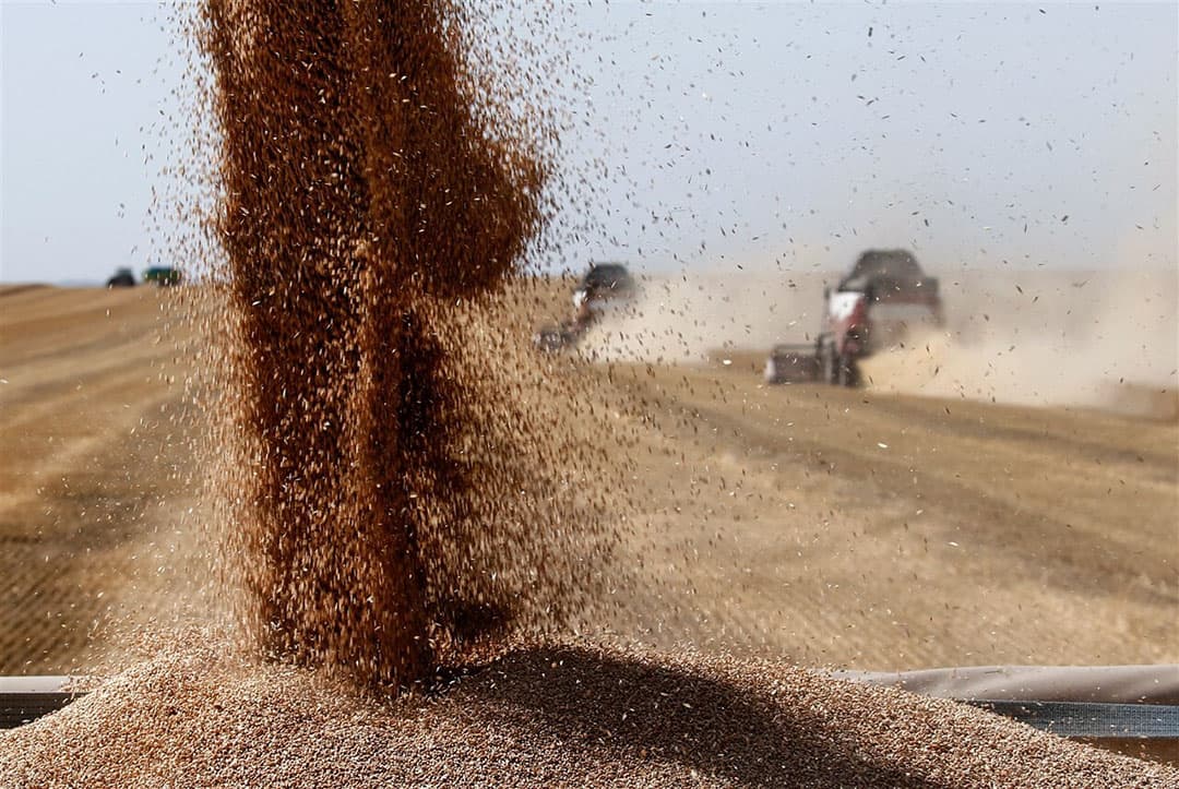 Graanoogst in Rusland. Het land is een grootmacht op de wereldmarkt met een jaarlijkse export van 34 tot ruim 40 miljoen ton tarwe. - Foto: ANP