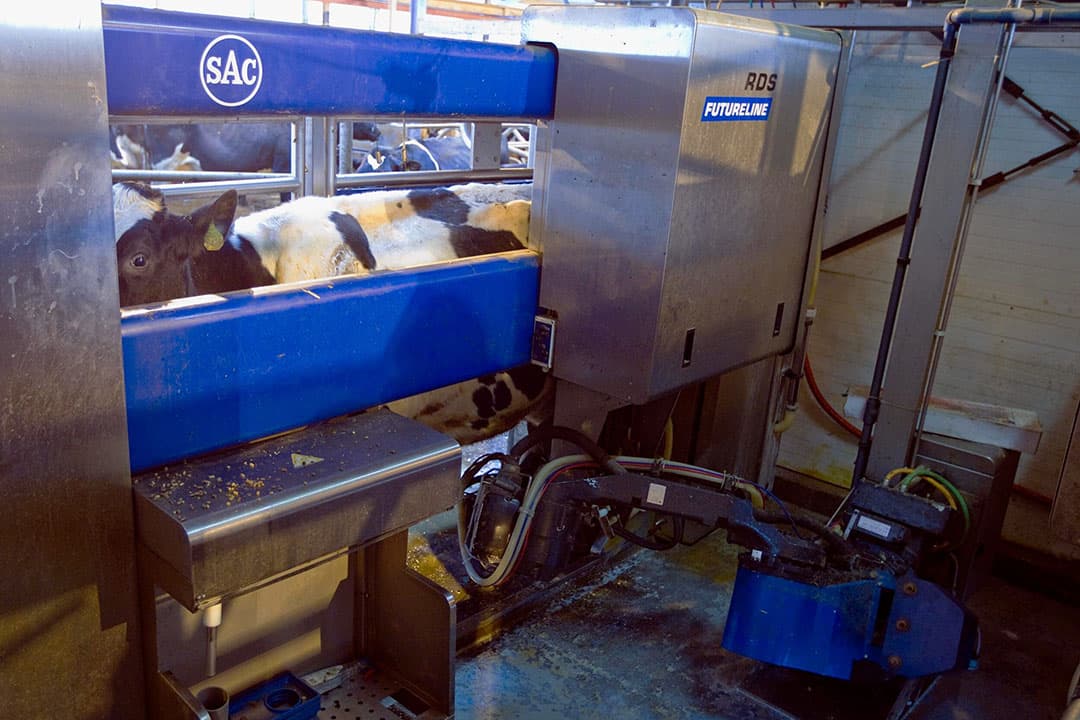 De SAC melkrobot RDS Futureline in actie. - Foto: Dennis Beek