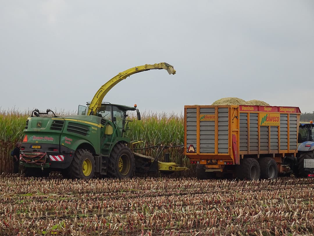 Foto: Boerderij