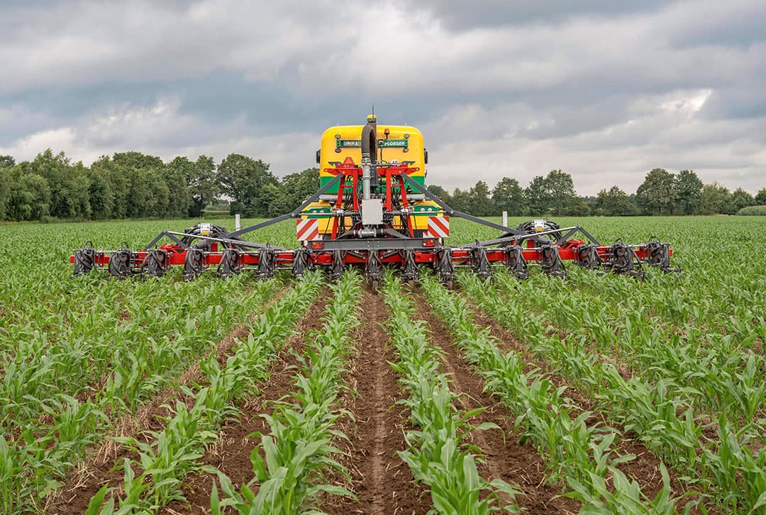 De werkbreedte is verdeeld in twee secties die elk acht plantrijen bedienen. Twee camera’s sturen de positie van de schoffels ten opzichte van de planten nauwkeurig aan. - Foto: Evers Agro