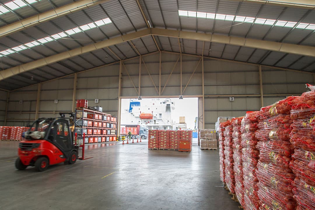 Uien worden geladen voor export naar Senegal. - Foto: Peter Roek