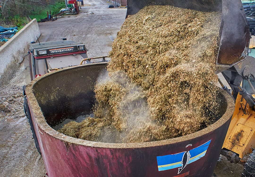 Broei kost droge stof en uit zich onder meer in lagere voederwaarde en verminderde smakelijkheid. - Foto: Van Assendelft Fotografie