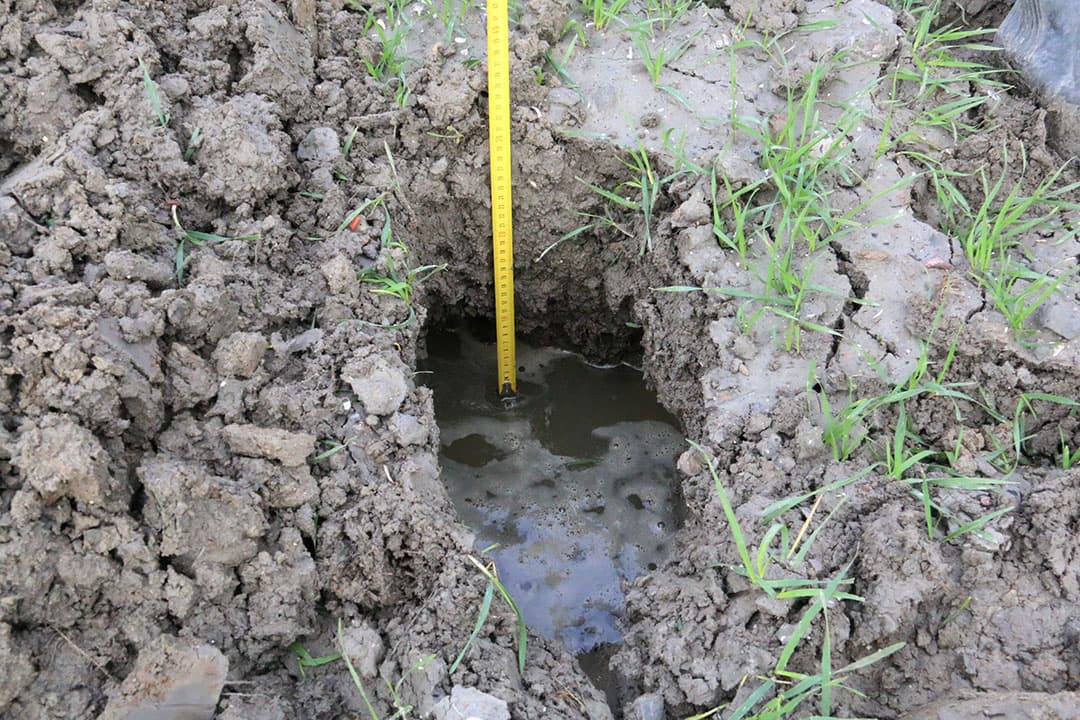 Als gevolg van een storende laag in het profiel kan het regenwater niet naar de ondergrond wegzakken en vormt zich een schijngrondwaterspiegel. Foto gemaakt tijdens bodemdag in Colijnsplaat (Zld.), oktober 2021.  - Foto: Anton Dingemanse