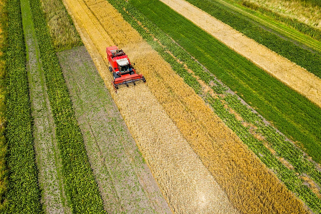 'Het zijn twee verschillende werelden. De één ziet graag bloemetjes en bijtjes in de weilanden, de boer wil opbrengst zien.' - Foto: Bert Jansen