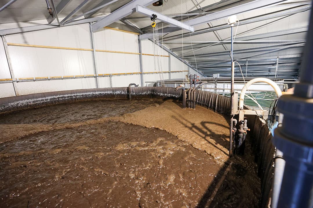 Het stalconcept Total Circulair Farmconcept heeft op een alternatieve manier de financiering geregeld. - Foto: Bert Jansen
