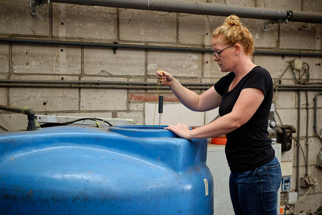 De annalemma-stick zit continu in het voorraadvat met water. Sinds het gebruik is de waterkwaliteit zichtbaar verbeterd. - Foto's: Lex Salverda