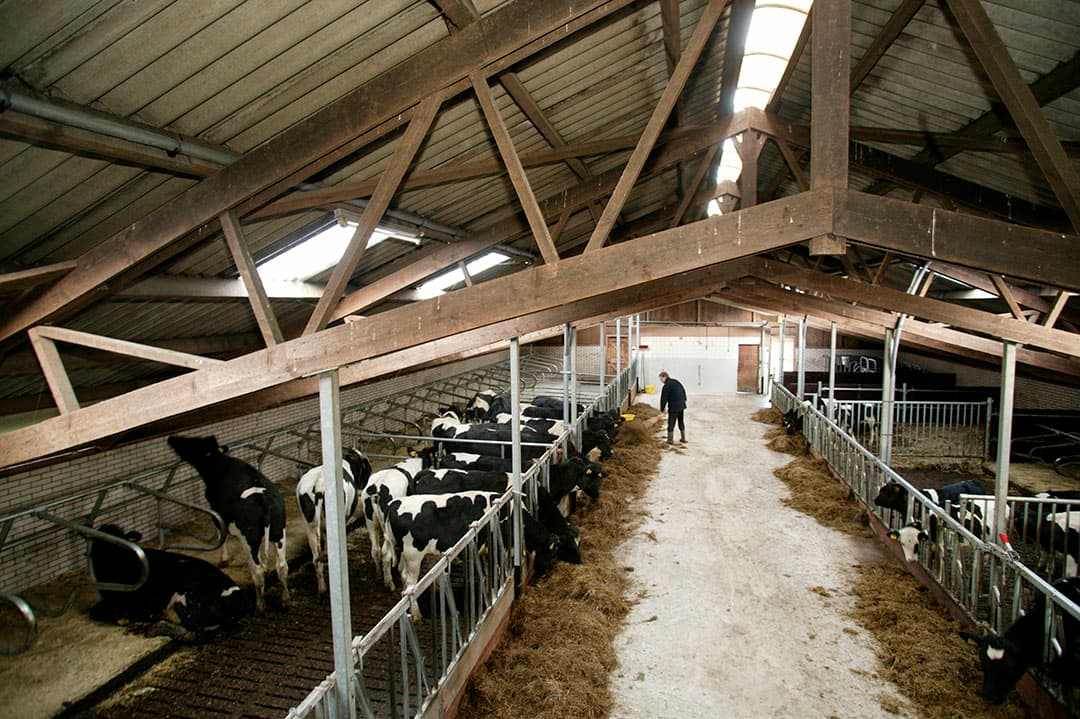 Gewoon doorwerken zoals het de afgelopen decennia ging, kan niet meer. De landbouw moet veranderen maar niet elke boer kan daar soepel in mee. Hulp van buitenaf kan zorgen dat iemand weer toekomst gaat zien. - Foto: Koos Groenewold