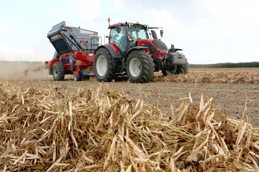 Loonbedrijf Kloosterman uit het Zeeuwse Kapelle dorst hier een perceel bij Yerseke. Onder goede omstandigheden is de gehele dorscombinatie in stof gehuld. Dat dit nu niet zo is, is een indicatie dat het nog vrij vochtig is. - Foto's: Anton Dingemanse