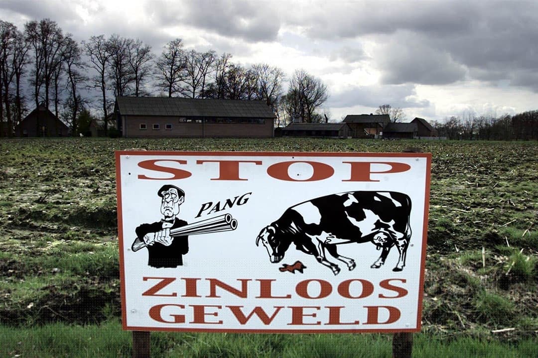 Een protestbord in Kootwijkerbroek in 2001 tegen het ruimen van vee in verband met MKZ. - Foto: ANP