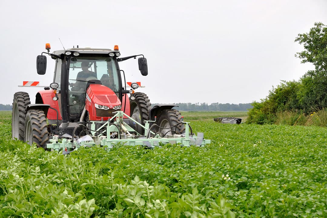 De Colorado Beetle Catcher, ook wel kevermepper genoemd. Per rij slaan twee tegengesteld draaiende kunststofflappen insecten van de aardappelplant in een opvanggoot. - Foto: Ard Klompe