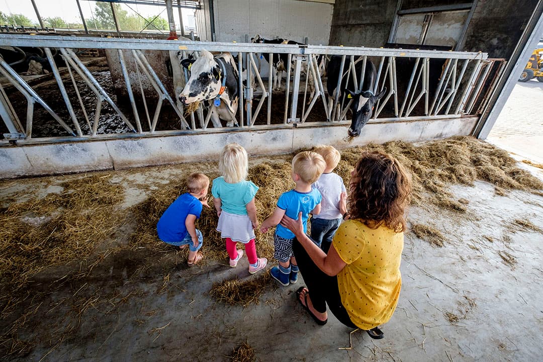 Foto: Roel DIjkstra