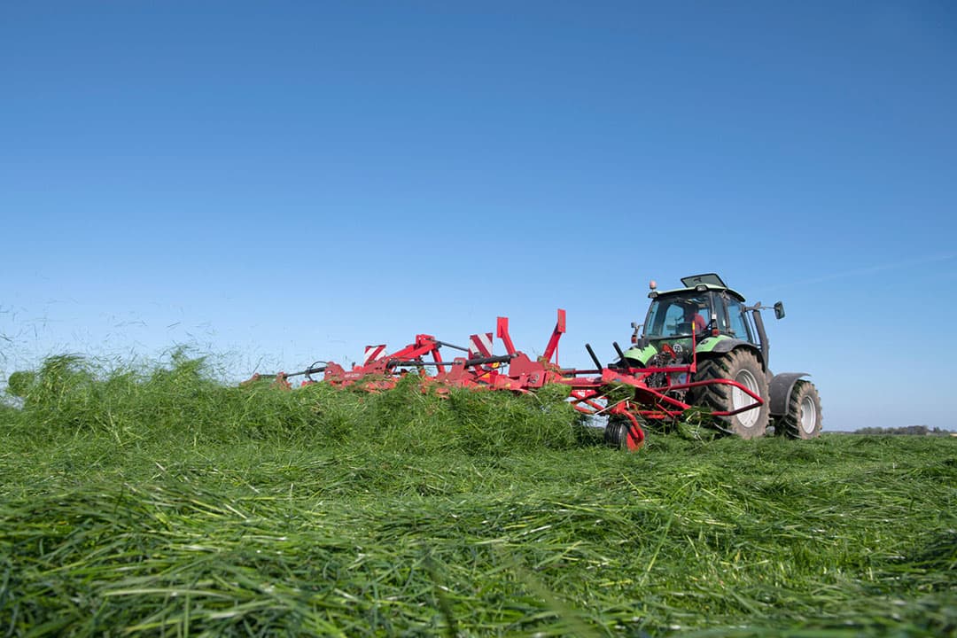 Gemaaid gras schudden kan in het voorjaar bijdragen aan droging, in het najaar sorteert deze actie geen effect meer. - Foto: Mark Pasveer