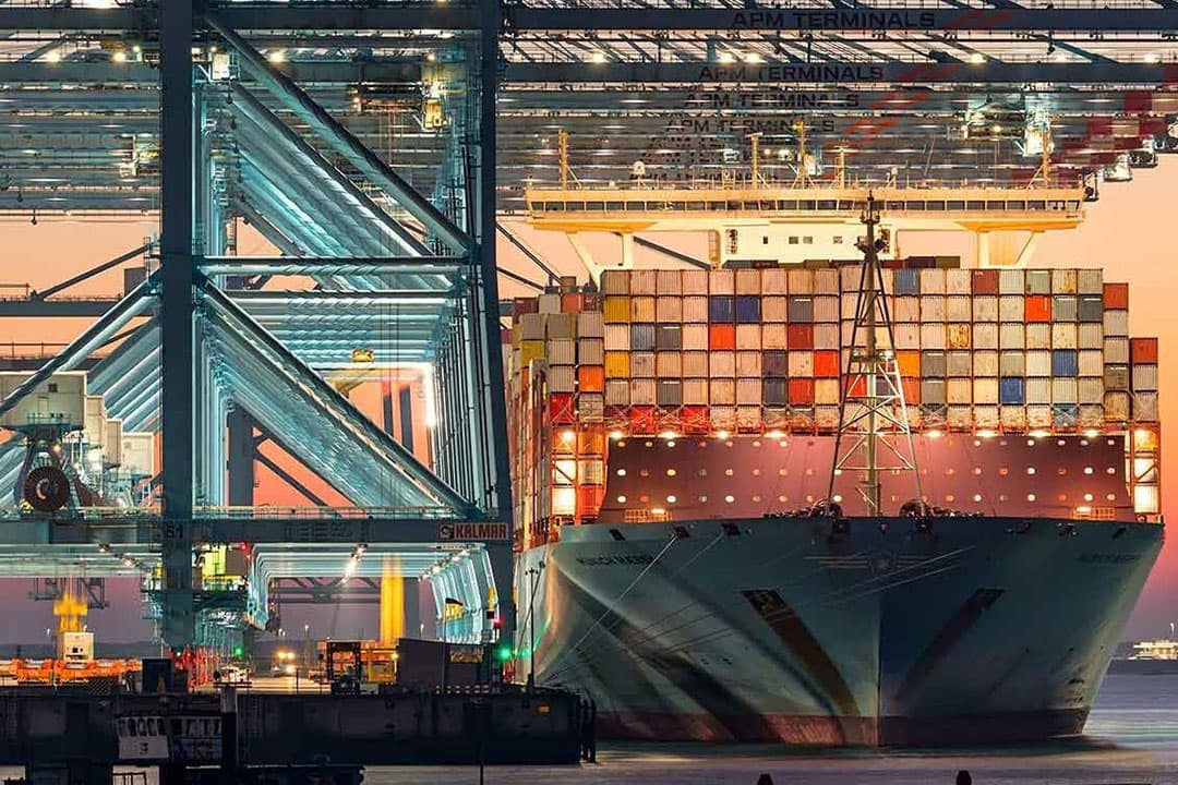 De potentie van Zuid-Holland om een vooraanstaande rol te spelen in het oplossen van huidige en toekomstige voedselvraagstukken is enorm, met melkveehouderij, akkerbouw, glastuinbouw en natuurlijk de Rotterdamse haven. - Foto: Rabobank