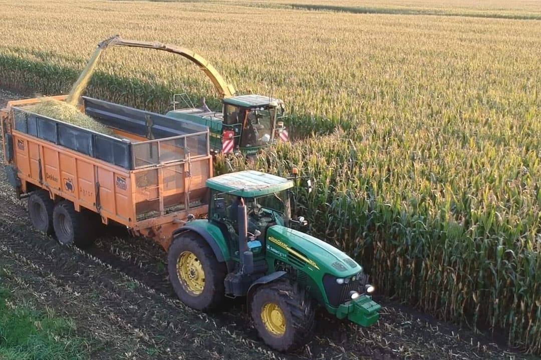 In sommige regio’s is de maisoogst reeds begonnen. Met goed inkuilmagagement benut je het ruwvoer van eigen land maximaal. - Foto: Corteva Agriscience