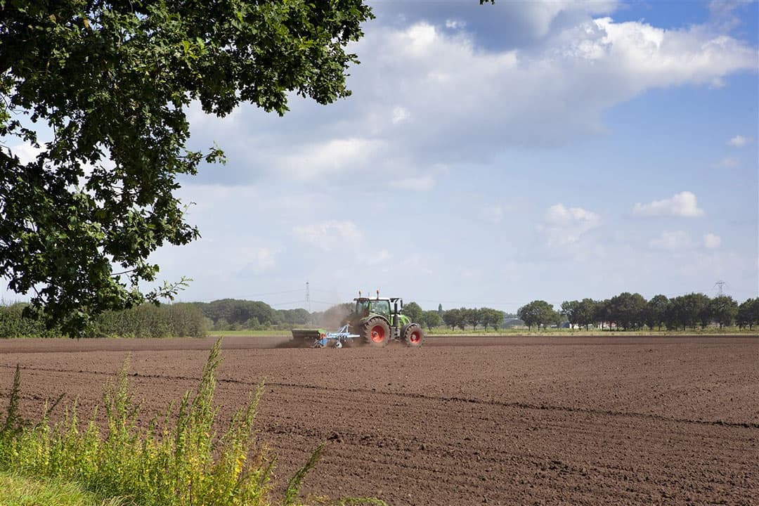 De gemiddelde prijs voor agrarische grond ligt rond de € 70.000 voor bouwland en € 60.000 voor grasland. De regionale verschillen zijn groot. - Foto: ANP