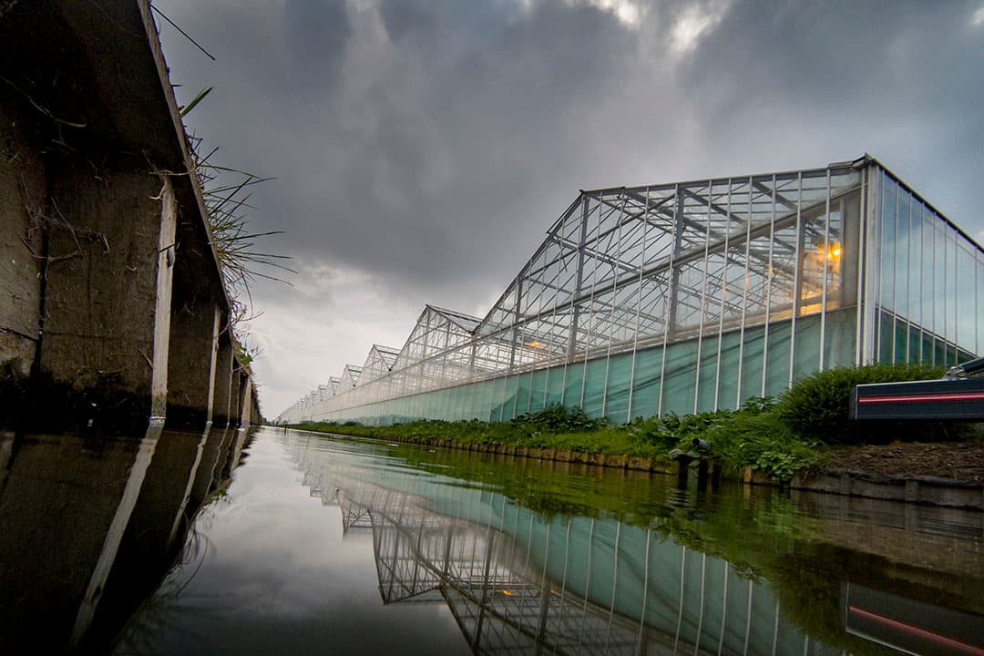 Glastuinbouw Nederland waarschuwde vorige week ook al dat groenten en bloemen uit de kassen duurder kunnen gaan worden. Foto: Roel Dijkstra