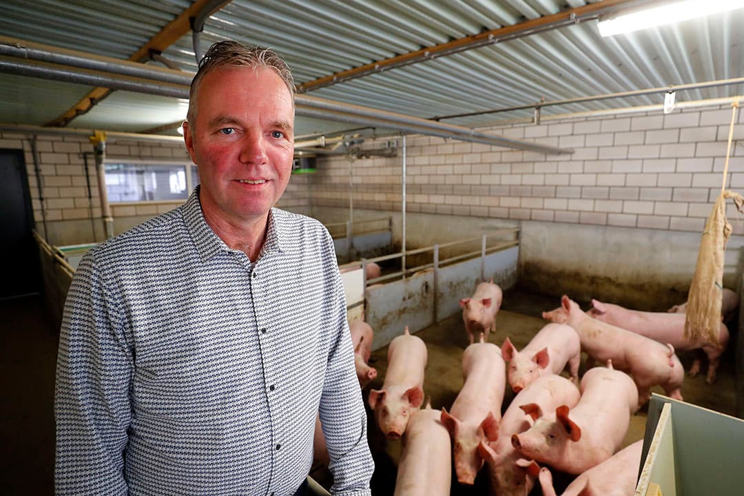 Varkenshouder Hans Verhoeven, deelnemer aan Stal van de Toekomst, in een biggenstal met spoelsysteem. - Foto: Bert Jansen