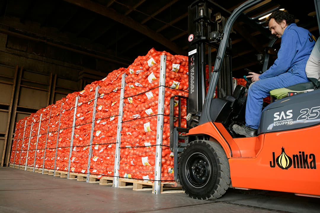 Uien laden voor export. - Foto: Mark Pasveer