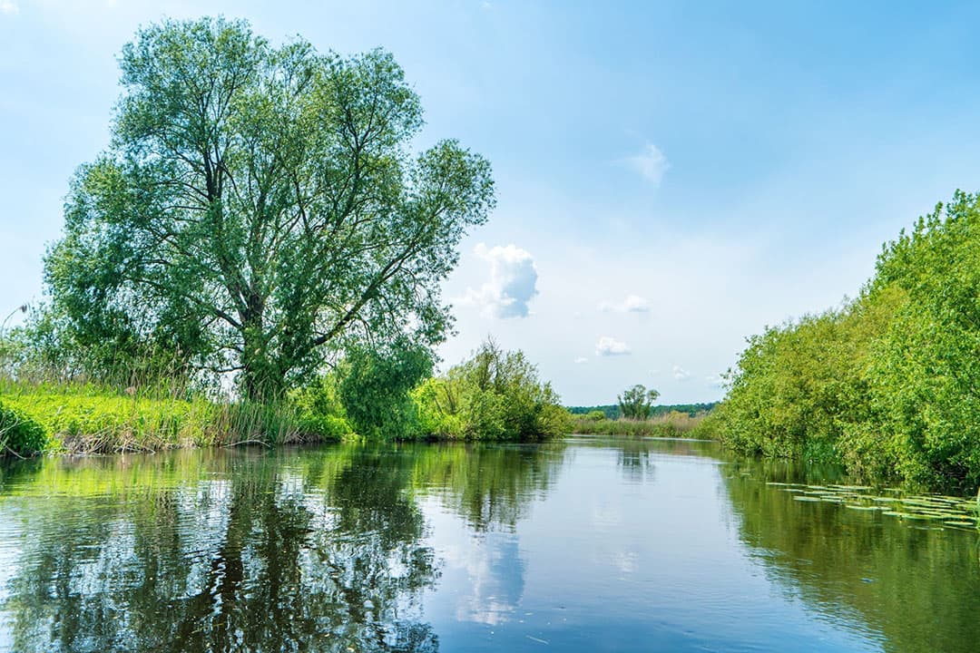 De concentraties aan nitraat zijn zowel in het oppervlaktewater als het grondwater sinds 1991 gedaald. Maar de afgelopen tien jaar stokt de vooruitgang. Foto: Canva
