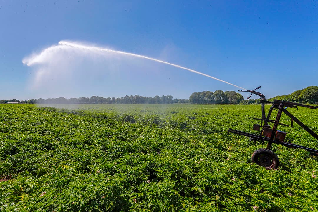 Lidstaten in de EU geven boeren te veel vrijstellingen voor het gebruik van zoet water, vindt de Europese Rekenkamer. - Foto: Bert Jansen