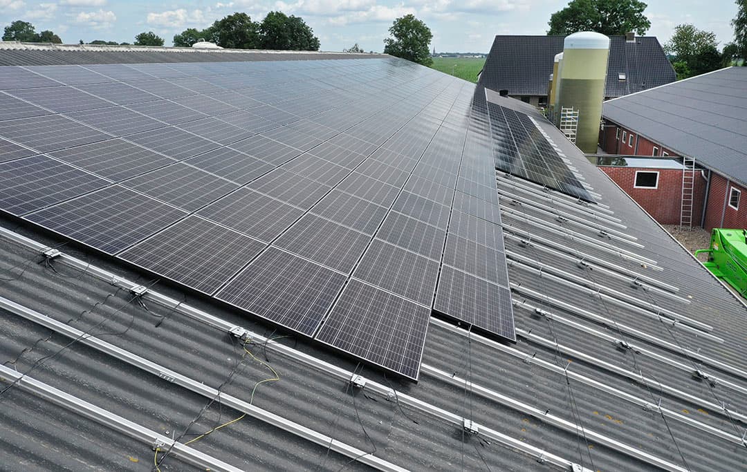 Zonnepanelen worden op een varkensstal gelegd. Veel varkenshouders investeren in duurzaamheid. - Foto: Ruud Ploeg