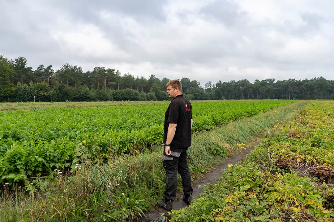 Van den Borne heeft een perceel van ruim 5 hectare ingericht voor de strokenteelt. De focus ligt dit jaar op aardappelen en pastinaak. - Foto's: Jan Willem Stad