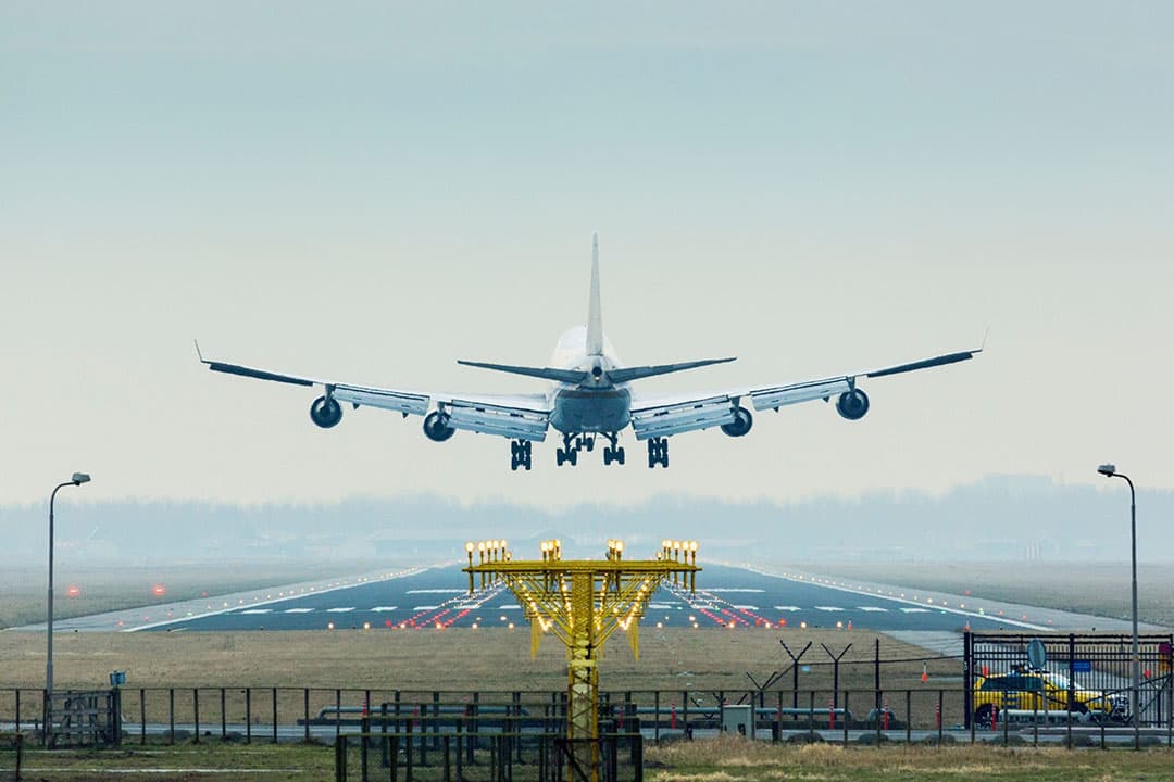 De commissie van het Europarlement weet nog weinig van luchttransport van dieren. - Foto: Canva