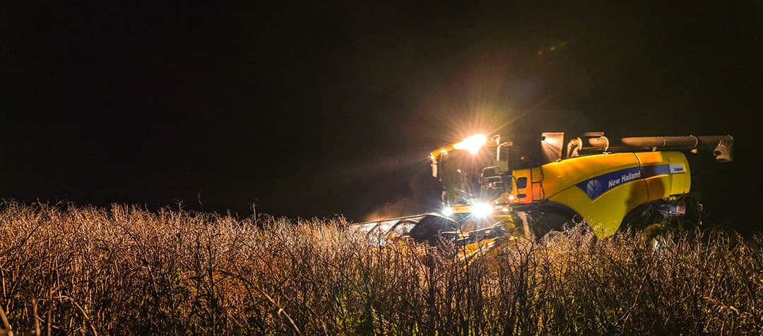 Gertjan Meijer oogst de winterveldbonen ’s nachts, zodat de peul vochtig is. De boon bevat maximaal 17% vocht. - Foto's: Jan Willem van Vliet
