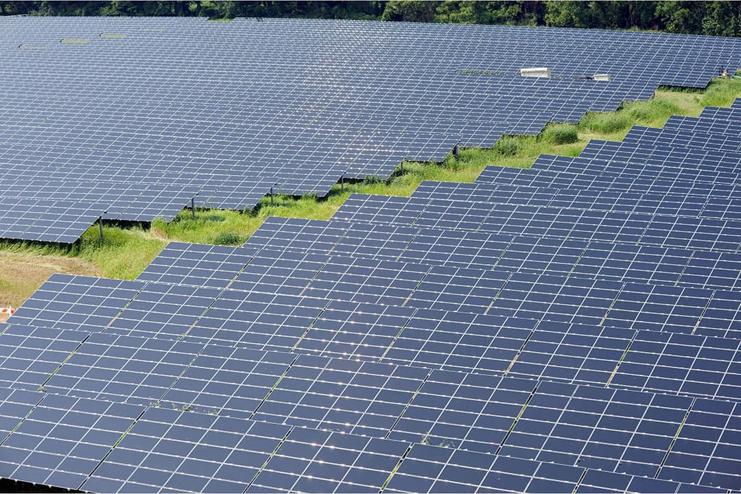 Voor zonne- en windenergie zal goede landbouwgrond worden verkocht. Een deel van dat geld zou in een fonds voor natuurinclusieve kringlooplandbouw moeten komen, vinden Niek de Boer en Rik Eweg. - Foto: Canva