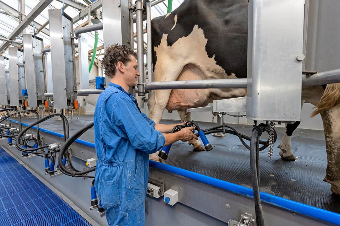 Foto's: Roel Dijkstra