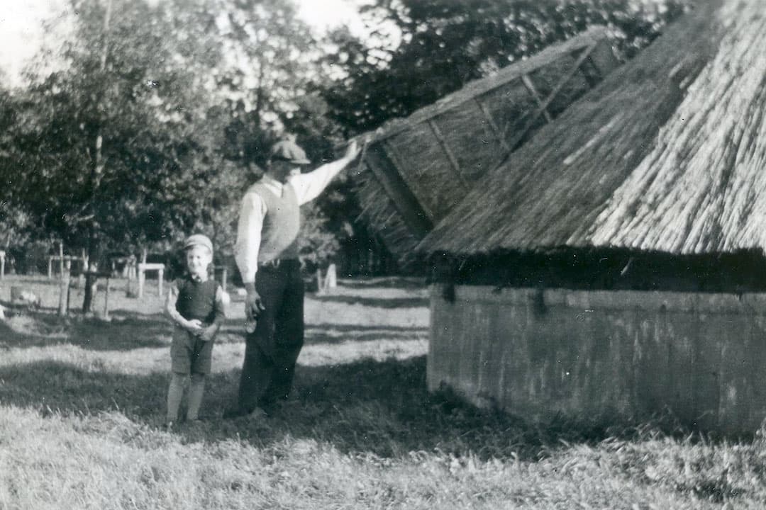 Al in de jaren ’30 van de vorige eeuw werd geëxperimenteerd met het ensileren van gras. Men vond destijds dat de minste verliezen op gebied van voederwaarde optraden als er tijdens het vullen van de silo drie procent suiker werd toegevoegd en als het gras in zijn eigen sap kwam te staan. - Foto: Misset