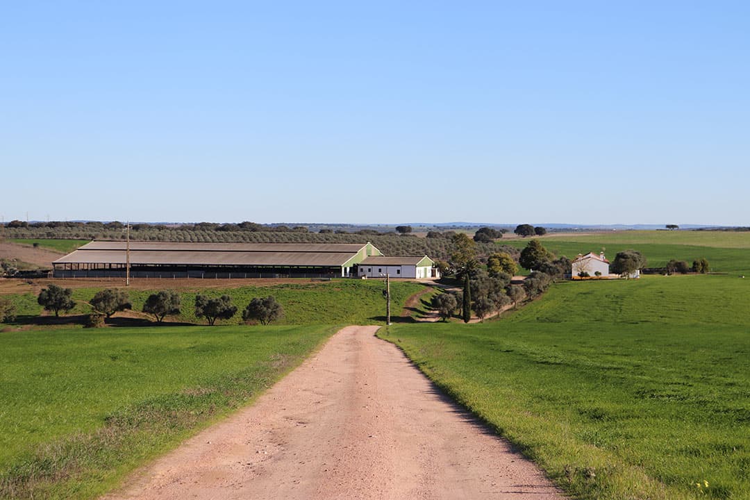 Het melkveeberijf in Portugal. Te koop voor ruim €3 miljoen. - Foto's: Farms4Sale
