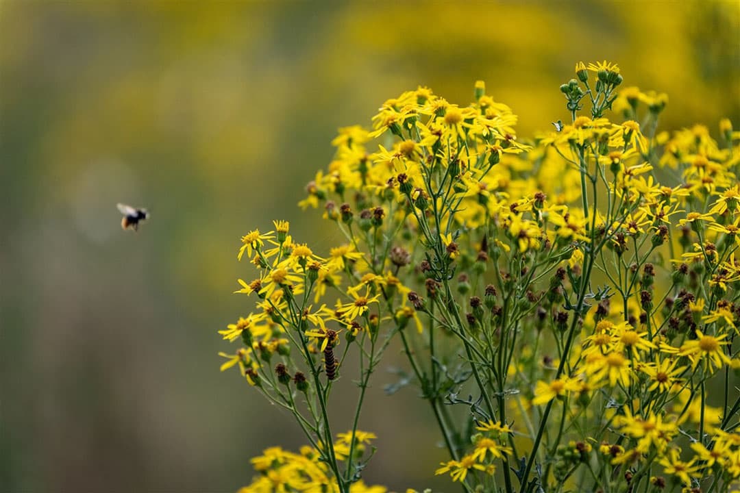 Foto: Novum RegioFoto