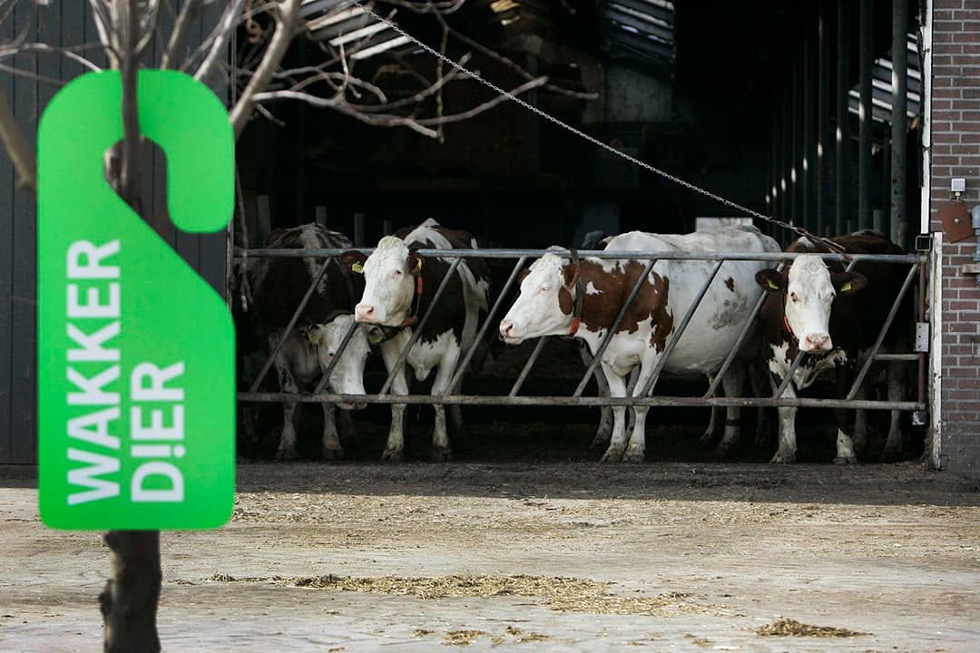 De ministeries EZK en LNV bevestigen dat minder vlees eten uit de campagne 'Iedereen doet wat' is geschrapt na kritiek van Wakker Dier. - Foto: Roel Dijkstra