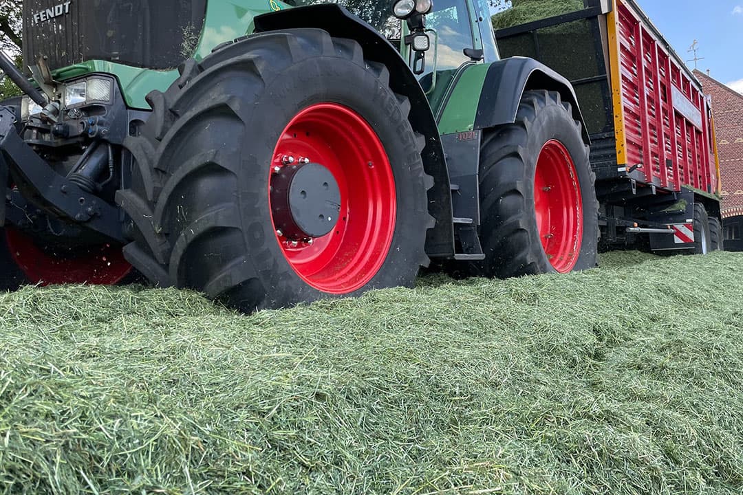 Zomerkuilen bevatten gemiddeld weinig eiwit en zijn natter dan gewenst. Ook veel voorjaarskuilen hebben minder eiwit. De blik is daarom gericht op het najaarsgras. - Foto: Martijn ter Horst