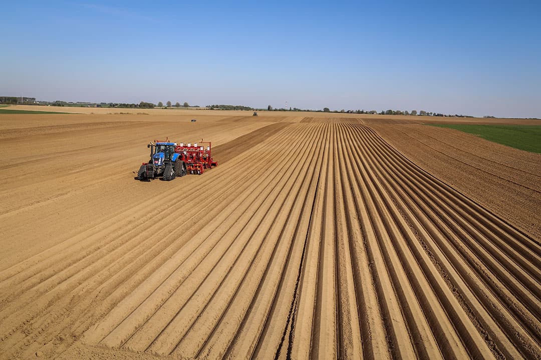 Aardappels poten op een akker in Lommel, België. - Foto: Matthijs Verhagen