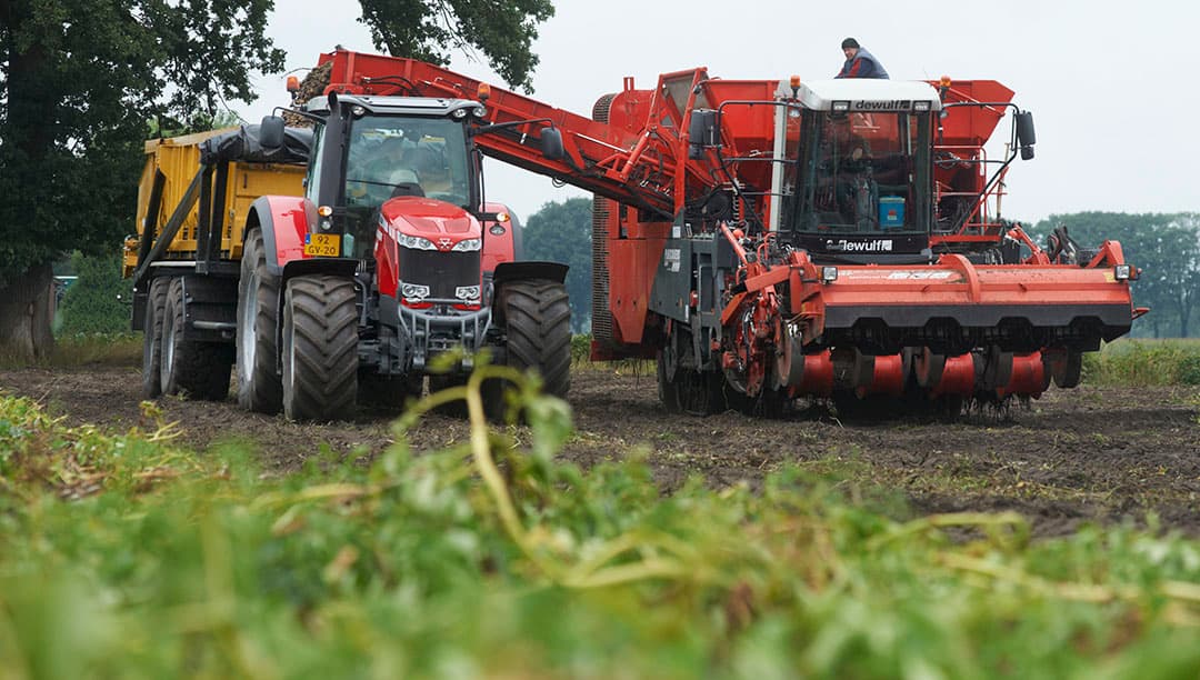 Foto: Van Assendelft Fotografie