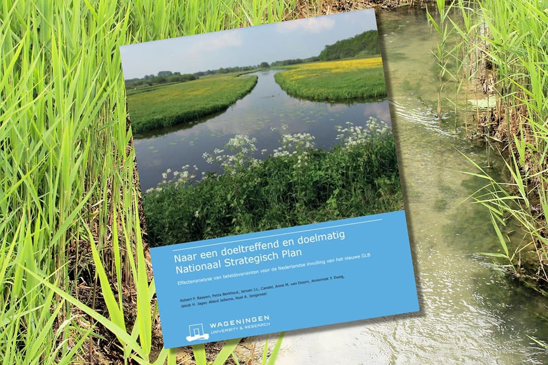 Wageningse onderzoekers doen tien aanbevelingen om het Nationaal Strategisch Plan doeltreffend en doelmatig in te zetten. - Afbeelding: WUR en Canva