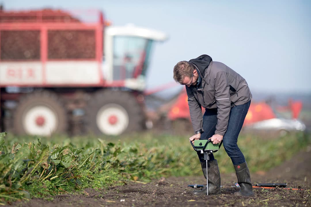 Meten van bodemverdichting met een penetrologger in een rijspoor van een volle bietenrooier. - Foto: Mark Pasveer