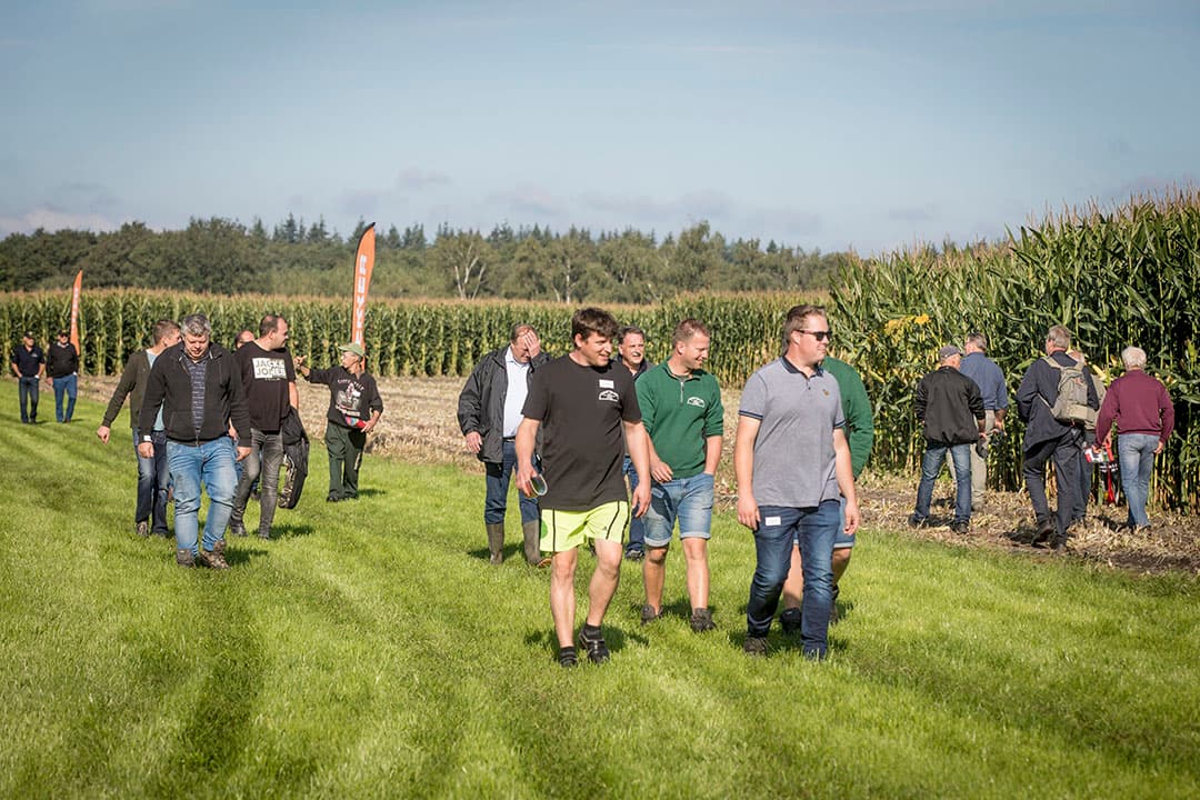 Halverwege mei heeft Vitelia Agrocultuur een 14-tal maisrassen ingezaaid op het demonstratieveld, een perceel van melkveehouder Weijers in Oostrum. Maistelers kiezen vaker voor (midden)vroege snijmaisrassen omdat die niet meer onderdoen voor (midden)late rassen. - Foto's Koos Groenewold