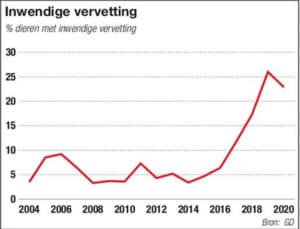 Het jaarlijkse percentage ingezonden runderen (merendeel koeien > 1 jaar) naar GD, waarbij op sectie inwendige vervetting is vastgesteld. Tussen 2007 tot 2017 was 5,3% van deze runderen inwendig vervet. In 2019 liep dat op naar 26%. In 2020 daalde het percentage licht, maar de laatste weken loopt het soms op naar 40%.