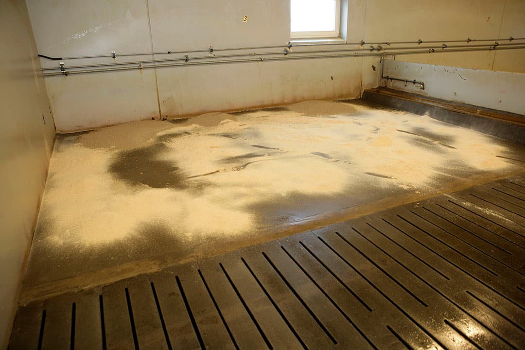 De Tweede Kamer toonde zich kritisch over het optreden van de NVWA bij het toezicht en de keuring van vee bij exportverzamelplaatsen. - Foto: Henk Riswick