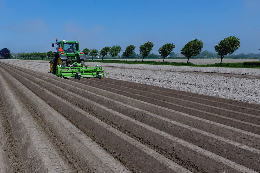 Foto: Henk Riswick