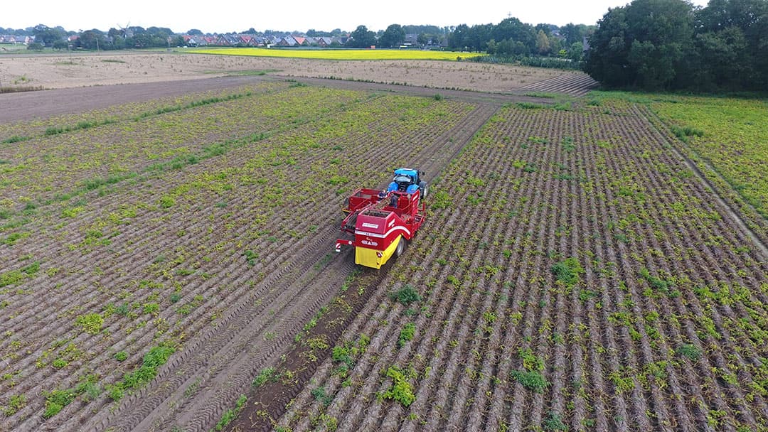 Begin september oogsten Heinz Josef en Hendrik Wienen het vroege fritesras Zorba. De oogst gaat af land weg. Er zit 55 ton onder, schat Hendrik Wienen. - Foto: Henk Riswick
